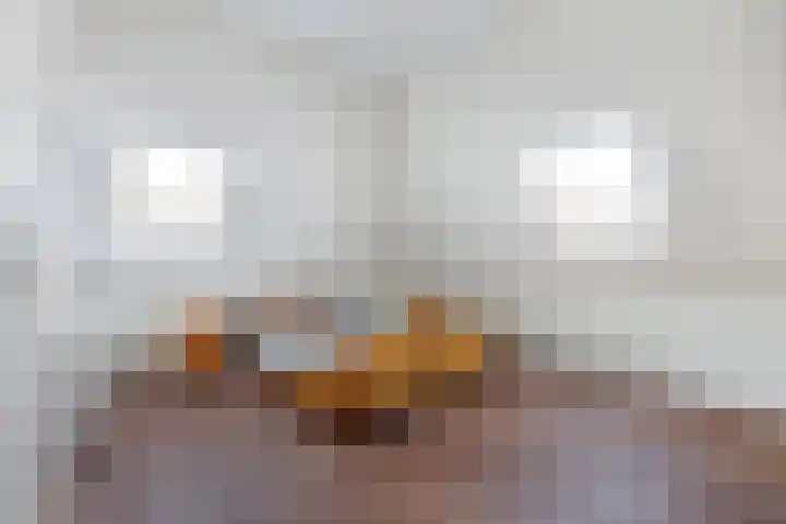 Haskermieden 6 Oudehaske thumbnail 24