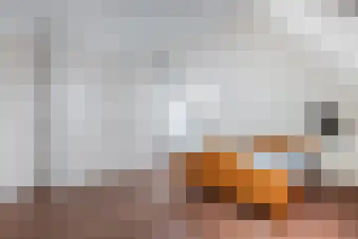 Haskermieden 6 Oudehaske thumbnail 25