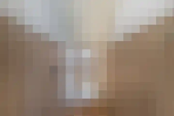 Haskermieden 6 Oudehaske thumbnail 31