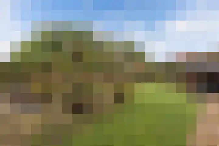 Haskermieden 6 Oudehaske thumbnail 35