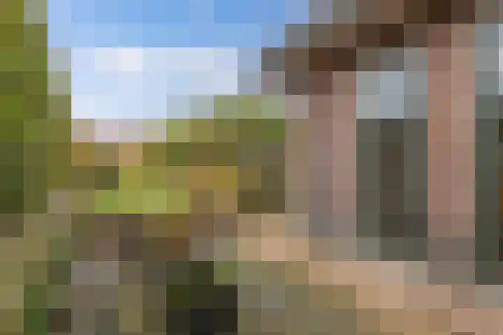 Haskermieden 6 Oudehaske thumbnail 37