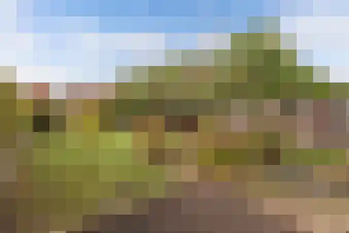 Haskermieden 6 Oudehaske thumbnail 38