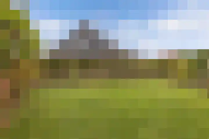 Haskermieden 6 Oudehaske thumbnail 39