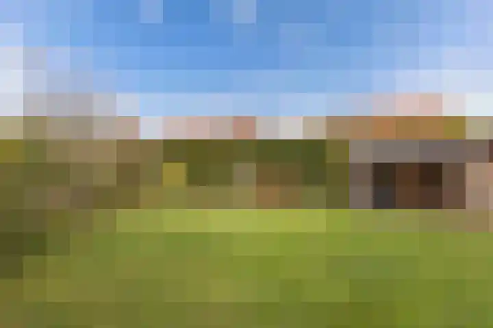 Haskermieden 6 Oudehaske thumbnail 40