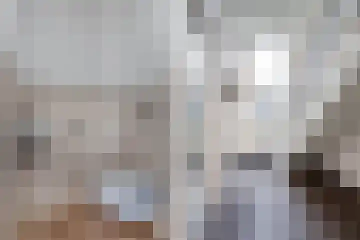 Haskermieden 6 Oudehaske thumbnail 7