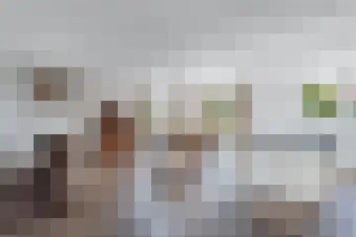 Haskermieden 6 Oudehaske thumbnail 9