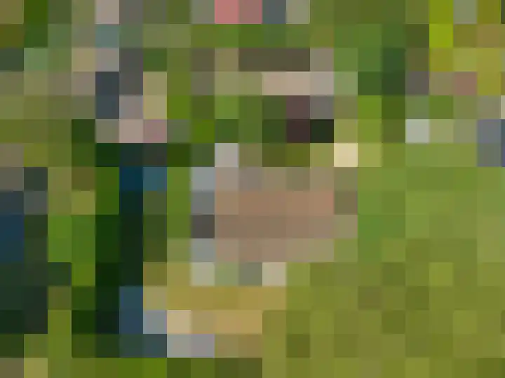 Haspel 29 7 Ermelo thumbnail 11