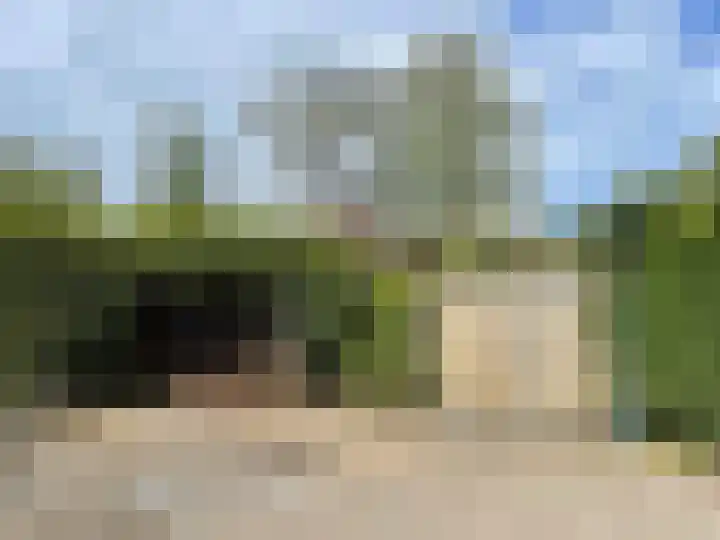 Haspel 29 7 Ermelo thumbnail 13