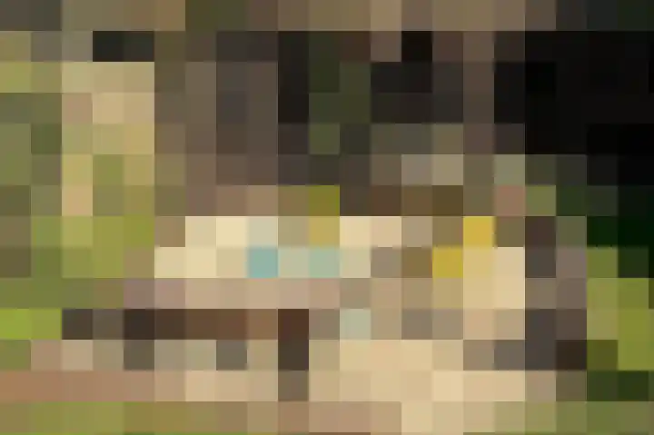 Haspel 29 7 Ermelo thumbnail 8