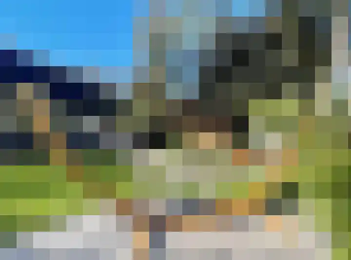 Haspel 29 7 Ermelo thumbnail 9