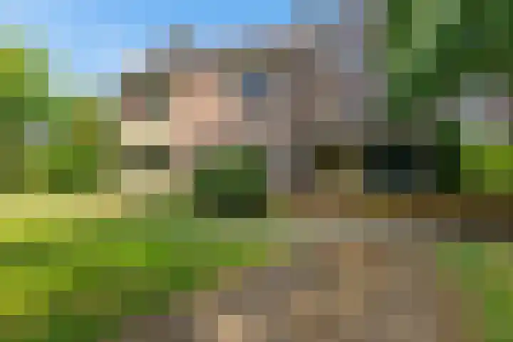 Haspelakkers 2 in Gieten