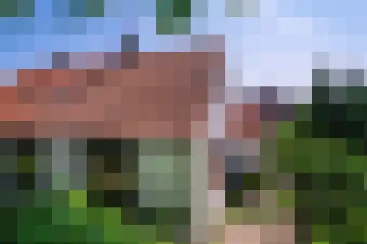 Haspelstraat 1 Pannerden thumbnail 31