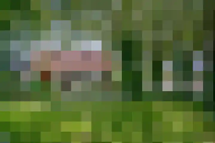 Haspelstraat 1 Pannerden thumbnail 5