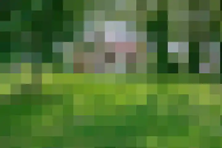 Haspelstraat 1 Pannerden thumbnail 6