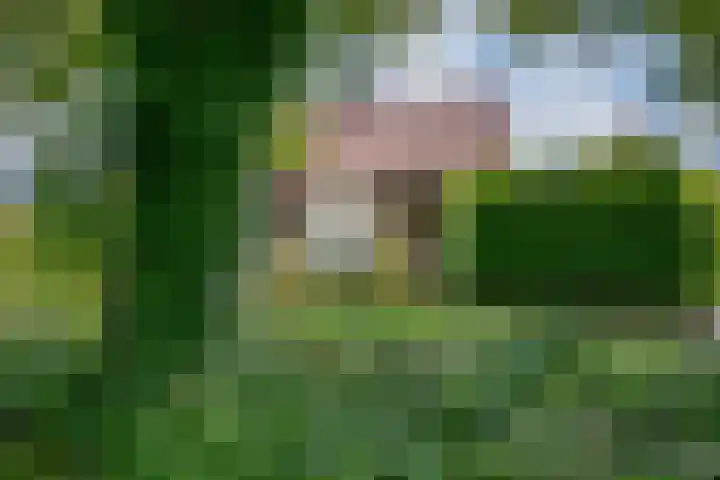 Haspelstraat 1 Pannerden thumbnail 8