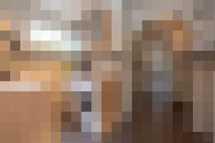 Haspelstraat 2 Hoeven thumbnail 11