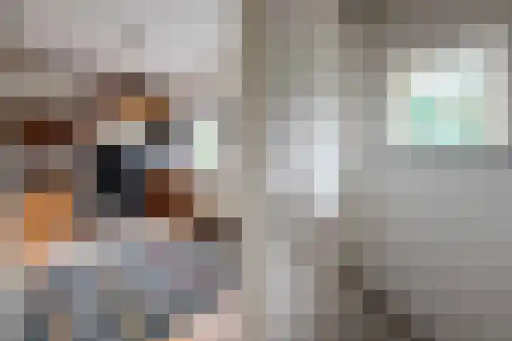 Haspelstraat 2 Hoeven thumbnail 12