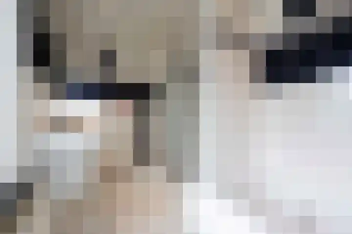 Haspelstraat 2 Hoeven thumbnail 18