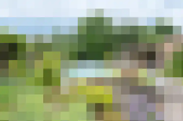 Haspelstraat 2 Hoeven thumbnail 22