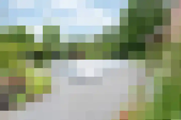 Haspelstraat 2 Hoeven thumbnail 26
