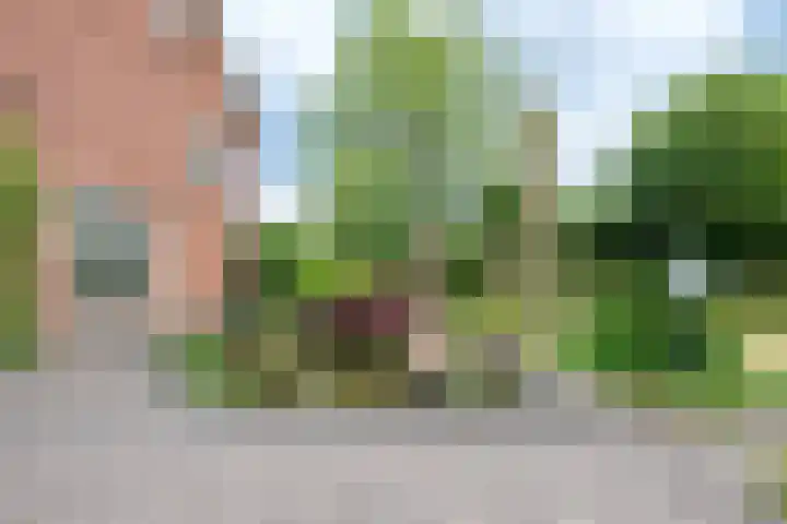 Haspelstraat 2 Hoeven thumbnail 29