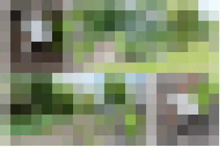 Haspelstraat 2 Hoeven thumbnail 34