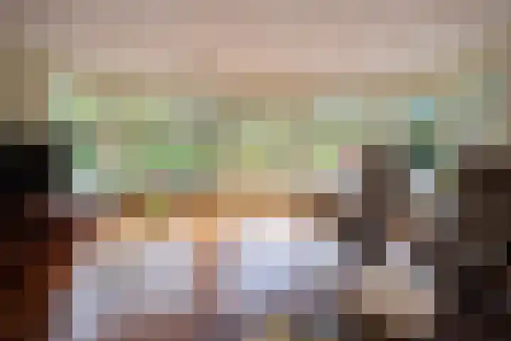 Haspelstraat 2 Hoeven thumbnail 6