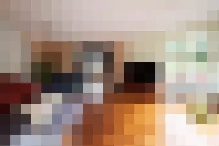 Haspelstraat 2 Hoeven thumbnail 7