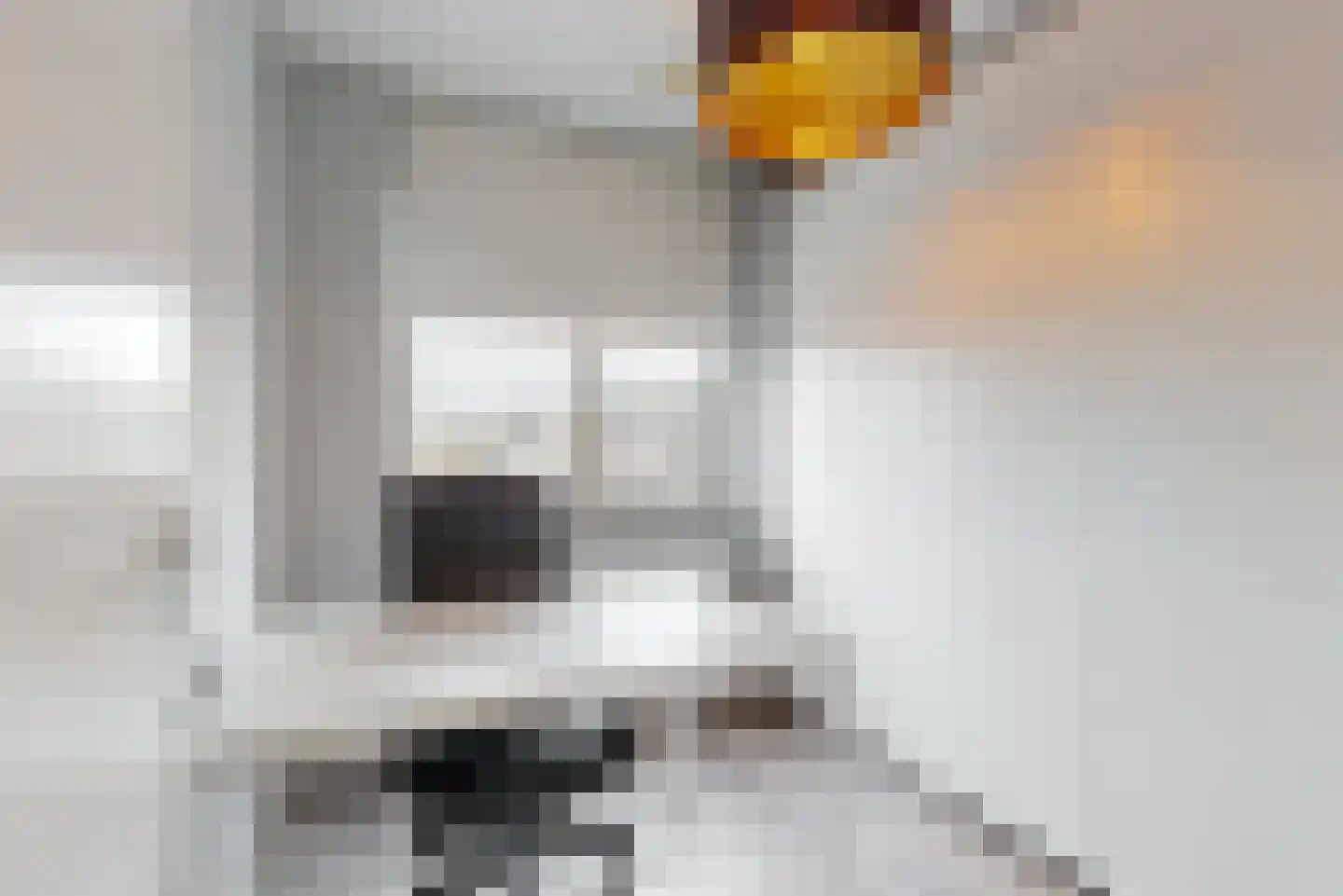 Haspengouw 30 Geleen thumbnail 13