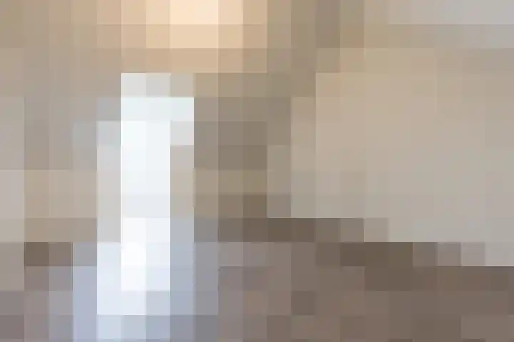Haspengouw 31 Geleen thumbnail 25