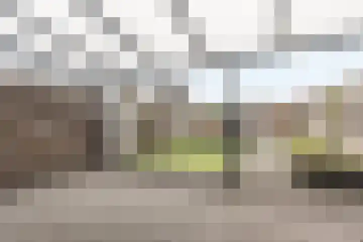 Haspengouw 31 Geleen thumbnail 28