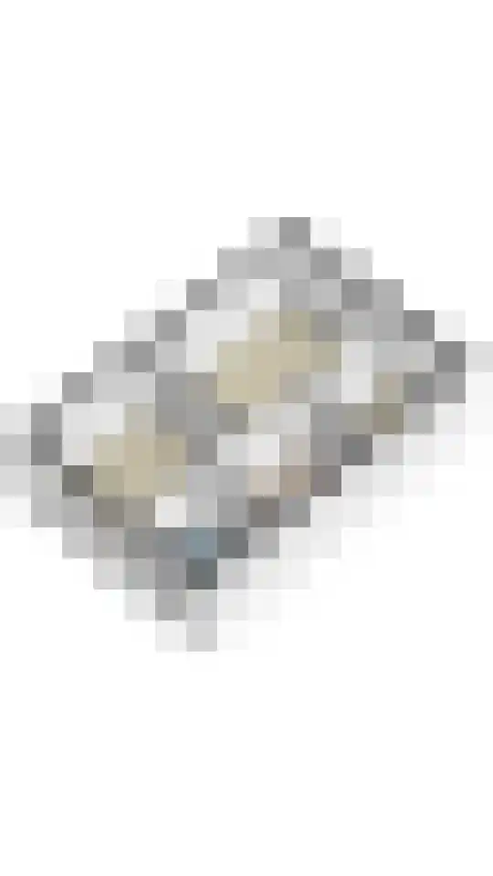 Haspengouw 31 Geleen thumbnail 38