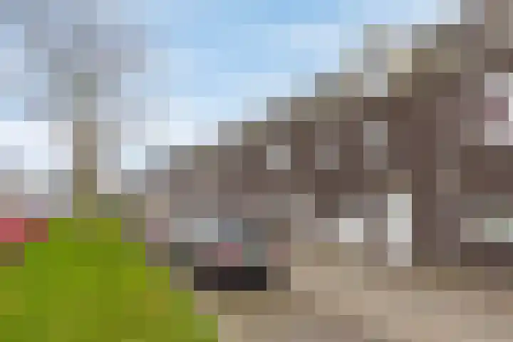 Haspengouw 31 Geleen thumbnail 5