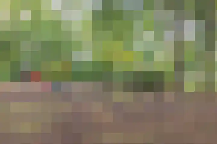 Hasselaarlaan 62 Eemnes thumbnail 41