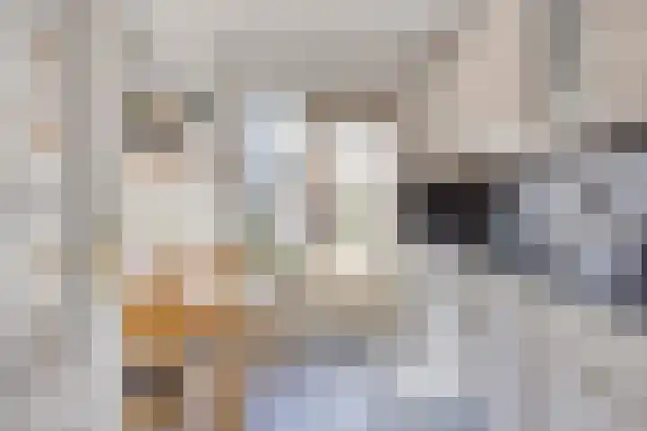 Hasselaarstraat 1 Eindhoven thumbnail 11