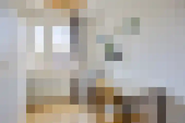 Hasselaarstraat 1 Eindhoven thumbnail 22