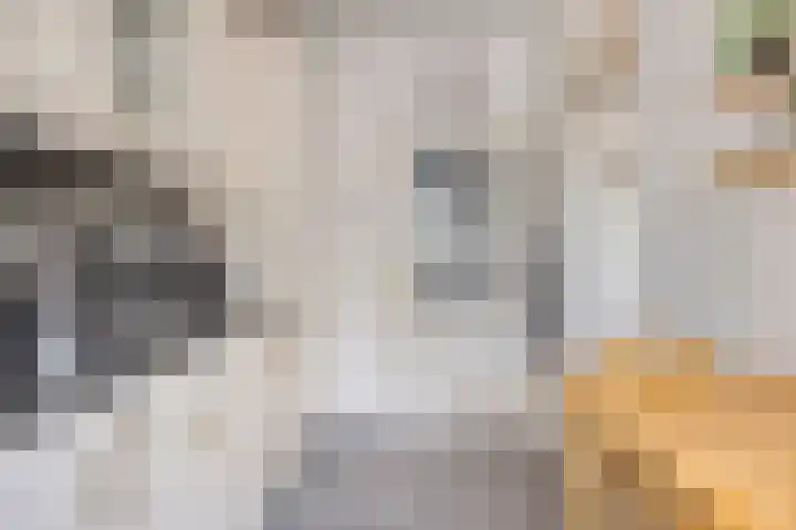 Hasselaarstraat 1 Eindhoven thumbnail 4