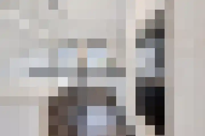 Hasselbeemden 12 Helmond thumbnail 8