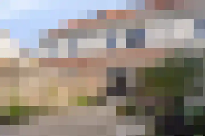 Hasselbeemden 24 A Helmond thumbnail 4
