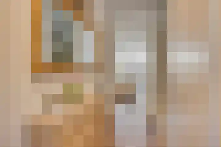 Hasselbeemden 24 A Helmond thumbnail 6