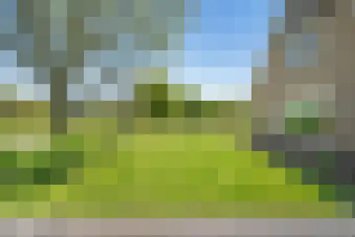 Hasselerweg 2 a Ommen thumbnail 10