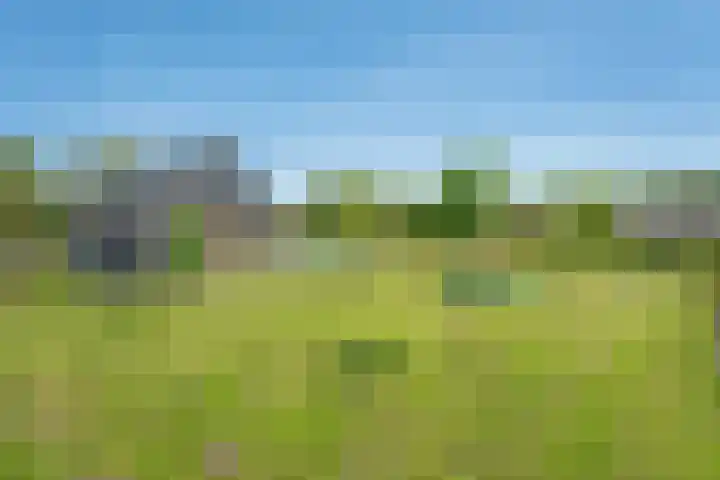 Hasselerweg 2 a Ommen thumbnail 70