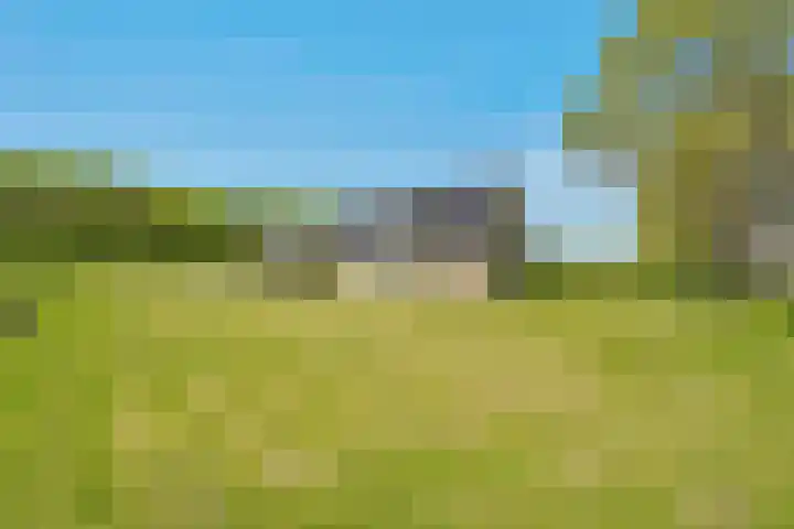 Hasselerweg 2 a Ommen thumbnail 71