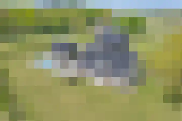 Hasselerweg 2 a Ommen thumbnail 8