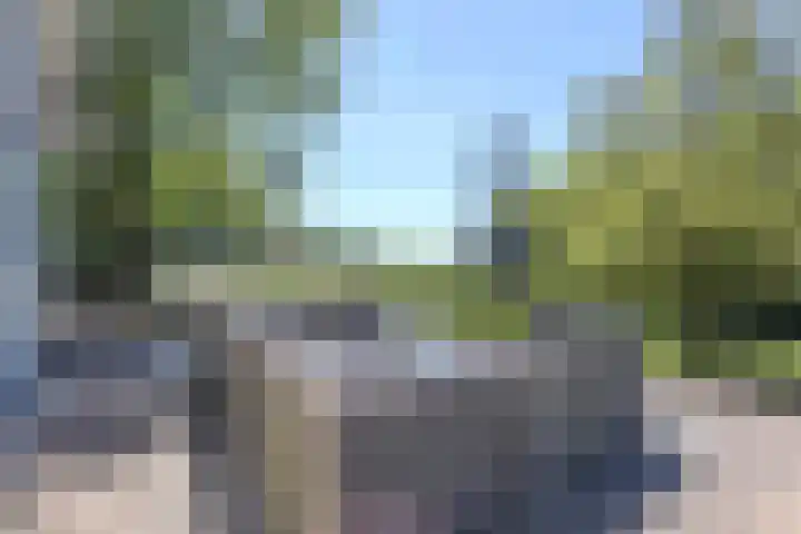 Hasseltsedijk 1 Berlicum thumbnail 37