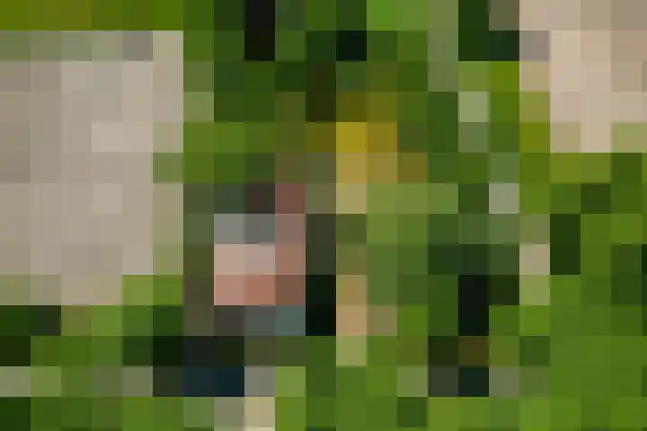 Hasseltsedijk 1 Berlicum thumbnail 4