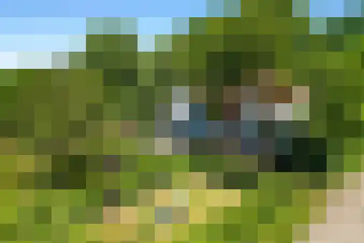 Hasseltsedijk 1 Berlicum thumbnail 44