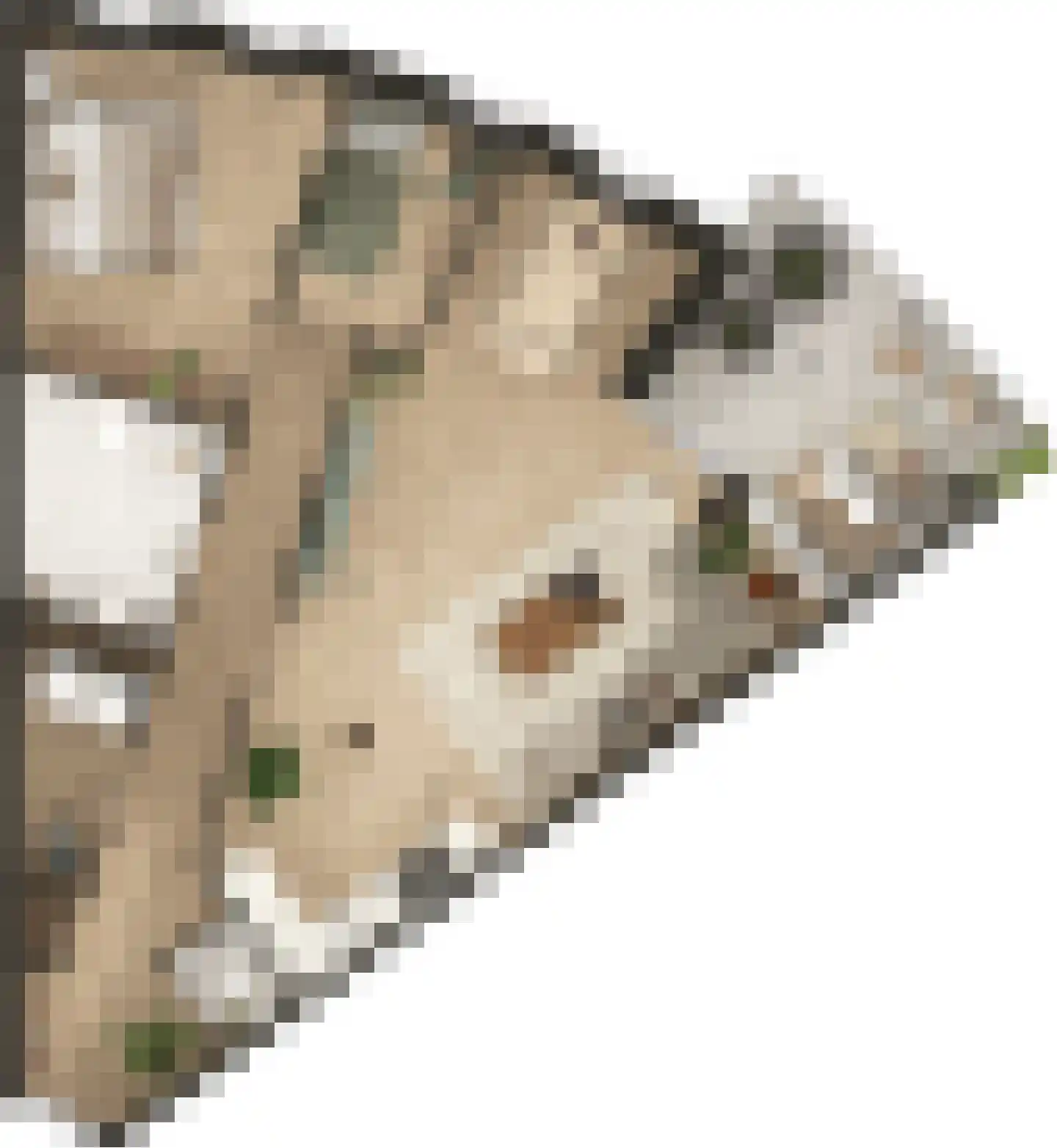 Hassinkborgh 4 e Haaksbergen thumbnail 4