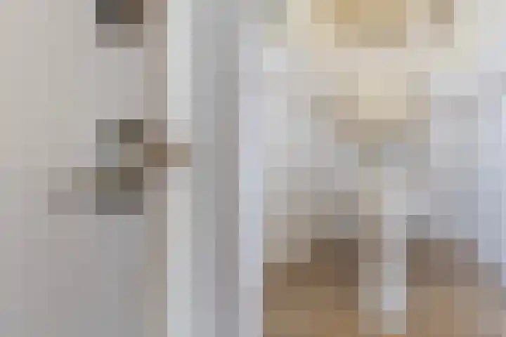 Hattemlaan 12 Den Haag thumbnail 19
