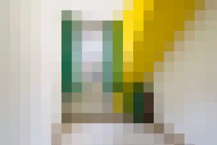 Hattemlaan 12 Den Haag thumbnail 20